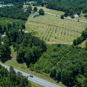 Photo #18 of Old NC Hwy 86N, Yanceyville, NC 32.1 acres