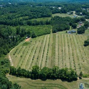 Photo #21 of Old NC Hwy 86N, Yanceyville, NC 32.1 acres