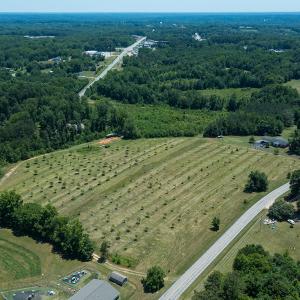Photo #22 of Old NC Hwy 86N, Yanceyville, NC 32.1 acres