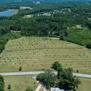 Photo #24 of Old NC Hwy 86N, Yanceyville, NC 32.1 acres