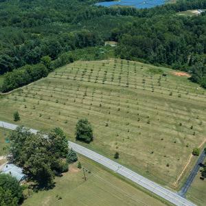 Photo #25 of Old NC Hwy 86N, Yanceyville, NC 32.1 acres