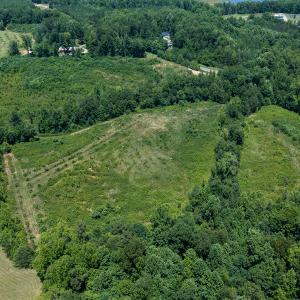 Photo #29 of Old NC Hwy 86N, Yanceyville, NC 32.1 acres