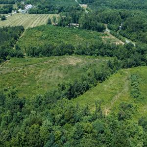 Photo #30 of Old NC Hwy 86N, Yanceyville, NC 32.1 acres