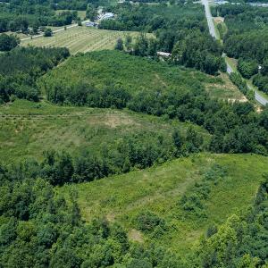 Photo #31 of Old NC Hwy 86N, Yanceyville, NC 32.1 acres