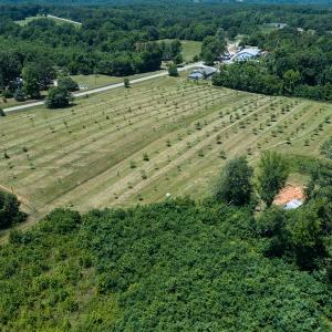 Photo #34 of Old NC Hwy 86N, Yanceyville, NC 32.1 acres