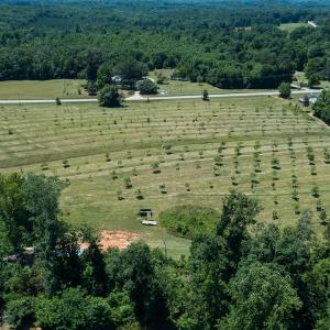 Photo #35 of Old NC Hwy 86N, Yanceyville, NC 32.1 acres