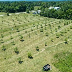 Photo #4 of Old NC Hwy 86N, Yanceyville, NC 32.1 acres