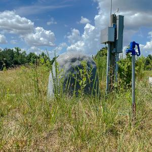 Photo #8 of Old NC Hwy 86N, Yanceyville, NC 32.1 acres