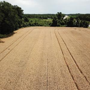 Photo #16 of Off Caratoke Highway, Jarvisburg, NC 7.8 acres