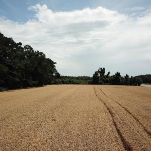 Photo #20 of Off Caratoke Highway, Jarvisburg, NC 7.8 acres