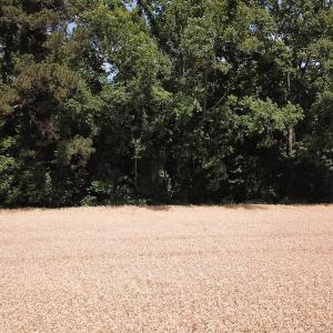Photo #21 of Off Caratoke Highway, Jarvisburg, NC 7.8 acres
