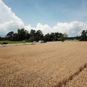 Photo #23 of Off Caratoke Highway, Jarvisburg, NC 7.8 acres