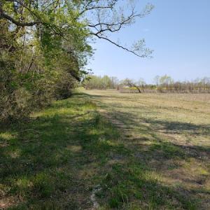 Photo #10 of Off Forbes Road, Jarvisburg, NC 123.8 acres