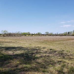 Photo #11 of Off Forbes Road, Jarvisburg, NC 123.8 acres