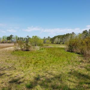 Photo #12 of Off Forbes Road, Jarvisburg, NC 123.8 acres