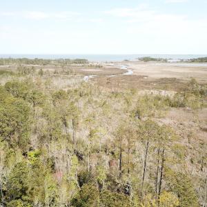 Photo #39 of Off Forbes Road, Jarvisburg, NC 123.8 acres