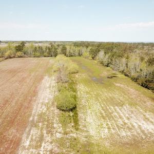 Photo #47 of Off Forbes Road, Jarvisburg, NC 123.8 acres