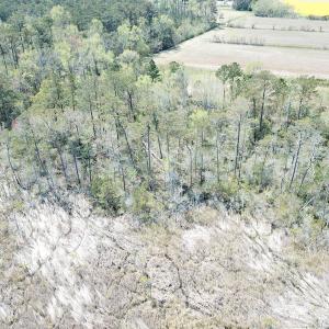 Photo #55 of Off Forbes Road, Jarvisburg, NC 123.8 acres