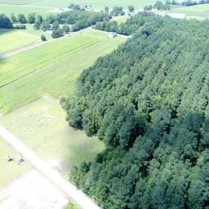 Photo #2 of SOLD property in O-Weyerhaeuser Road, Ayden, NC 18.3 acres