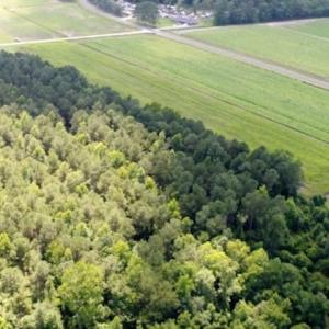 Photo #3 of SOLD property in O-Weyerhaeuser Road, Ayden, NC 18.3 acres