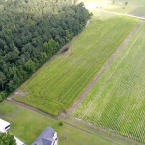 Photo #4 of SOLD property in O-Weyerhaeuser Road, Ayden, NC 18.3 acres