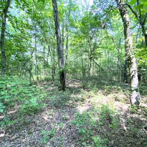 Photo #2 of SOLD property in 9020 Joyner's Bridge Rd, Windsor, VA 21.0 acres