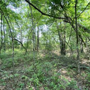 Photo #4 of SOLD property in 9020 Joyner's Bridge Rd, Windsor, VA 21.0 acres