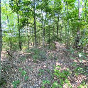 Photo #5 of SOLD property in 9020 Joyner's Bridge Rd, Windsor, VA 21.0 acres