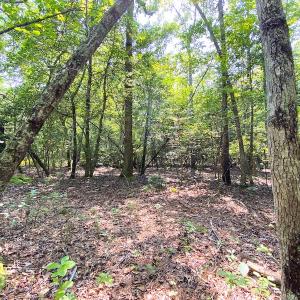 Photo #8 of SOLD property in 9020 Joyner's Bridge Rd, Windsor, VA 21.0 acres
