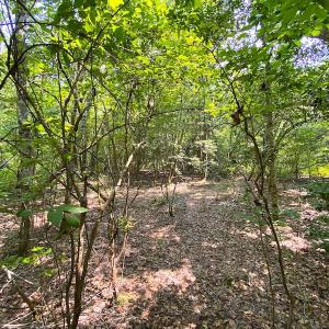 Photo #9 of SOLD property in 9020 Joyner's Bridge Rd, Windsor, VA 21.0 acres
