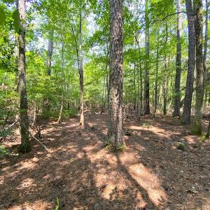 Photo #12 of SOLD property in 9020 Joyner's Bridge Rd, Windsor, VA 21.0 acres