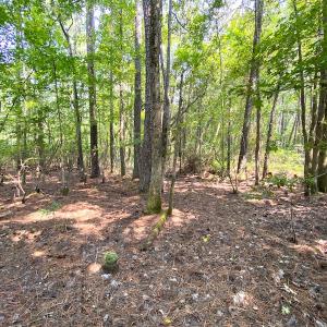 Photo #13 of SOLD property in 9020 Joyner's Bridge Rd, Windsor, VA 21.0 acres