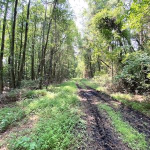 Photo #14 of SOLD property in 9020 Joyner's Bridge Rd, Windsor, VA 21.0 acres