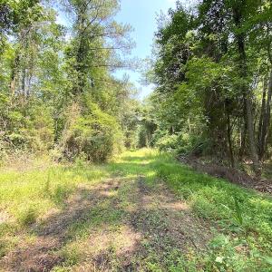 Photo #15 of SOLD property in 9020 Joyner's Bridge Rd, Windsor, VA 21.0 acres