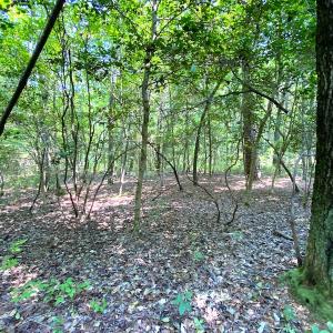 Photo #17 of SOLD property in 9020 Joyner's Bridge Rd, Windsor, VA 21.0 acres
