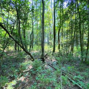 Photo #19 of SOLD property in 9020 Joyner's Bridge Rd, Windsor, VA 21.0 acres
