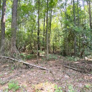 Photo #20 of SOLD property in 9020 Joyner's Bridge Rd, Windsor, VA 21.0 acres