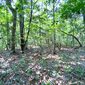 Photo #21 of SOLD property in 9020 Joyner's Bridge Rd, Windsor, VA 21.0 acres