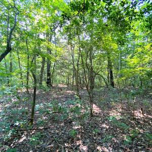 Photo #22 of SOLD property in 9020 Joyner's Bridge Rd, Windsor, VA 21.0 acres