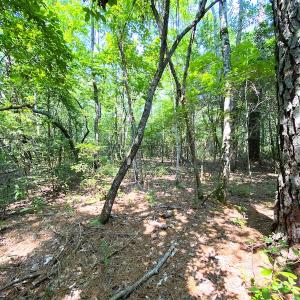 Photo #23 of SOLD property in 9020 Joyner's Bridge Rd, Windsor, VA 21.0 acres