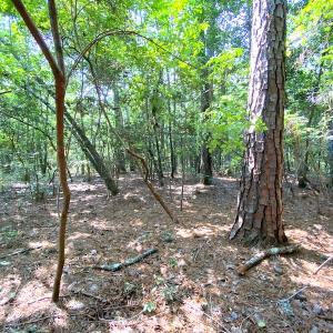 Photo #25 of SOLD property in 9020 Joyner's Bridge Rd, Windsor, VA 21.0 acres