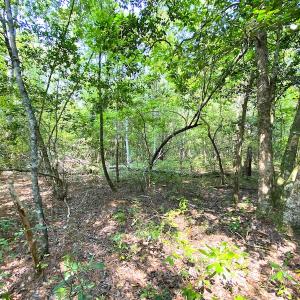 Photo #26 of SOLD property in 9020 Joyner's Bridge Rd, Windsor, VA 21.0 acres