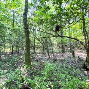 Photo #27 of SOLD property in 9020 Joyner's Bridge Rd, Windsor, VA 21.0 acres