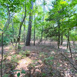 Photo #28 of SOLD property in 9020 Joyner's Bridge Rd, Windsor, VA 21.0 acres