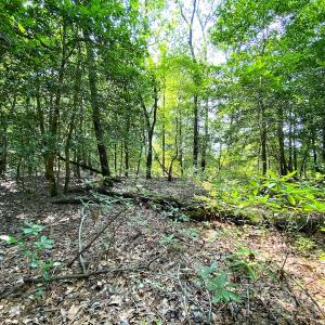Photo #29 of SOLD property in 9020 Joyner's Bridge Rd, Windsor, VA 21.0 acres