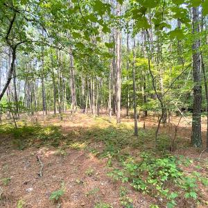Photo #30 of SOLD property in 9020 Joyner's Bridge Rd, Windsor, VA 21.0 acres