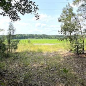 Photo #31 of SOLD property in 9020 Joyner's Bridge Rd, Windsor, VA 21.0 acres