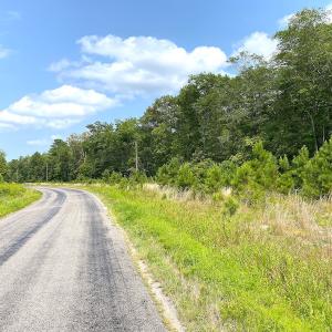 Photo #32 of SOLD property in 9020 Joyner's Bridge Rd, Windsor, VA 21.0 acres