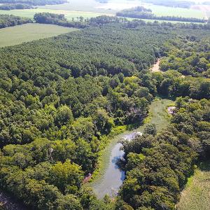 Photo #2 of SOLD property in Off Jackie Lane, Cape Charles, VA 46.0 acres