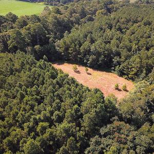 Photo #3 of SOLD property in Off Jackie Lane, Cape Charles, VA 46.0 acres